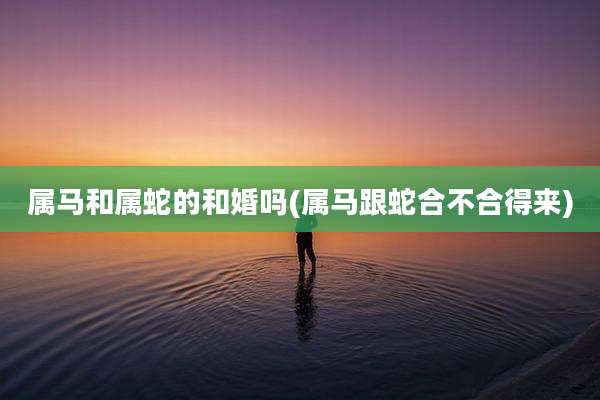 属马和属蛇的和婚吗(属马跟蛇合不合得来)