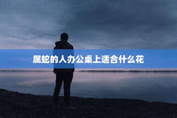 属蛇的人办公桌上适合什么花