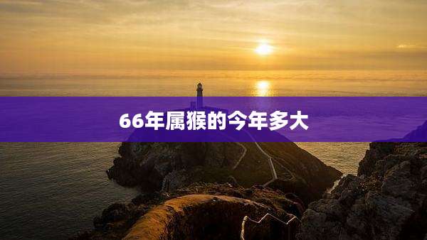 66年属猴的今年多大