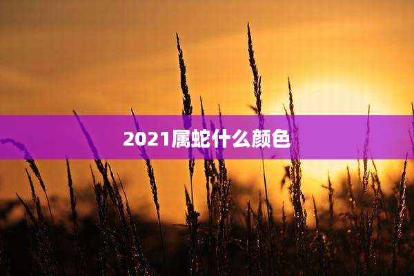2021属蛇什么颜色