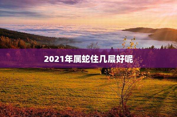 2021年属蛇住几层好呢