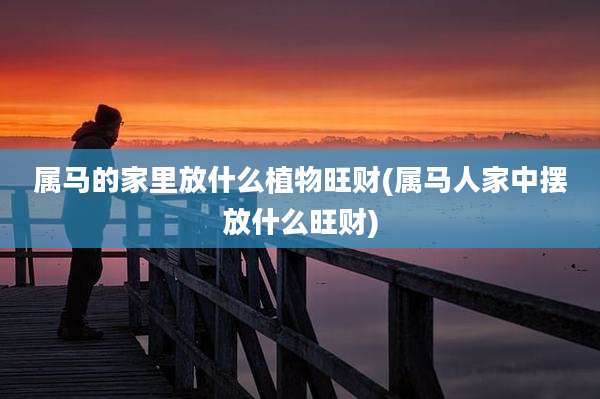 属马的家里放什么植物旺财(属马人家中摆放什么旺财)