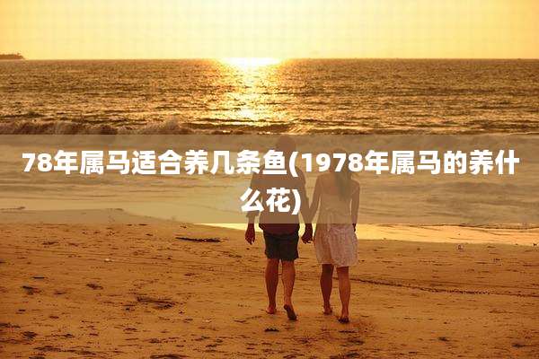 78年属马适合养几条鱼(1978年属马的养什么花)