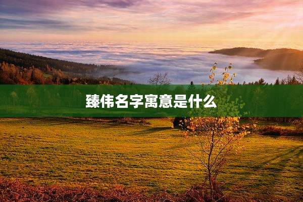 臻伟名字寓意是什么