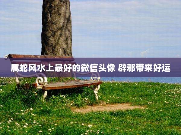 属蛇风水上最好的微信头像 辟邪带来好运