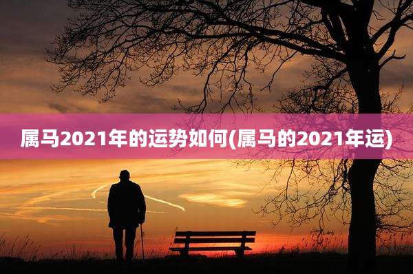 属马2021年的运势如何(属马的2021年运)