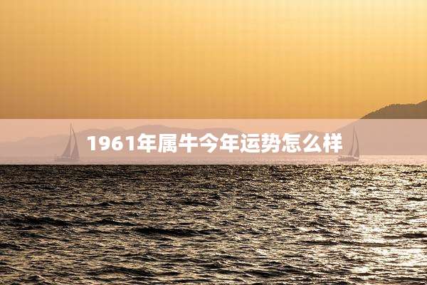 1961年属牛今年运势怎么样