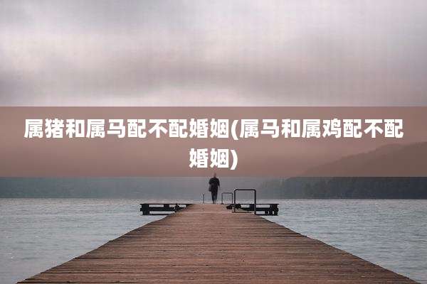 属猪和属马配不配婚姻(属马和属鸡配不配婚姻)