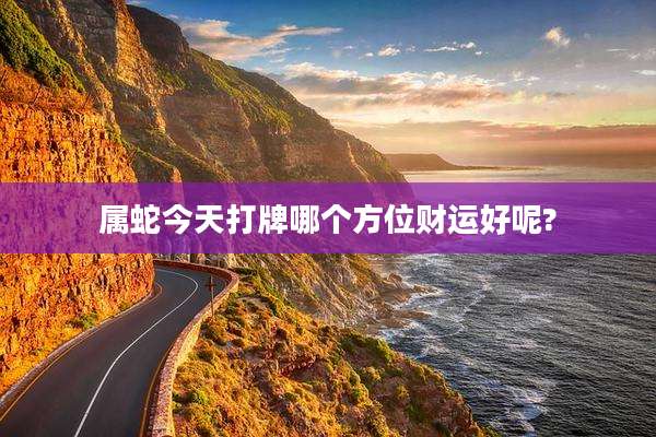 属蛇今天打牌哪个方位财运好呢?