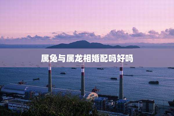 属兔与属龙相婚配吗好吗