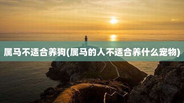 属马不适合养狗(属马的人不适合养什么宠物)