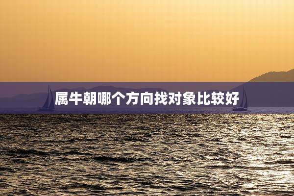 属牛朝哪个方向找对象比较好