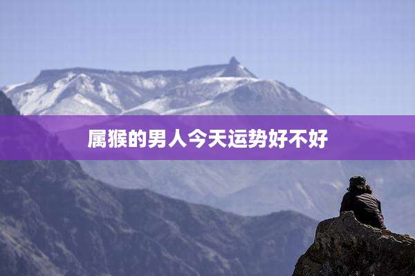 属猴的男人今天运势好不好