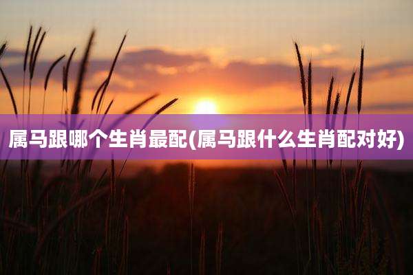 属马跟哪个生肖最配(属马跟什么生肖配对好)