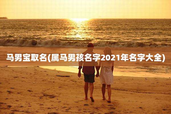 马男宝取名(属马男孩名字2021年名字大全)