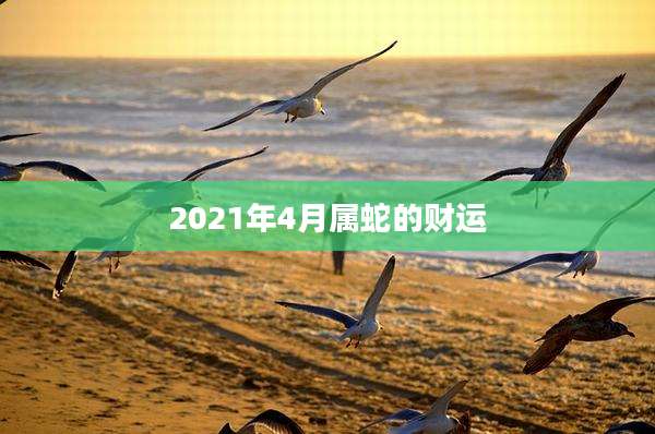 2021年4月属蛇的财运
