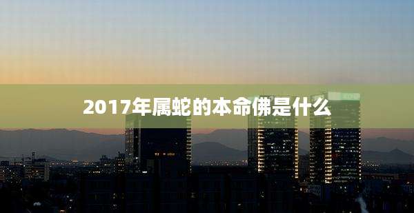2017年属蛇的本命佛是什么