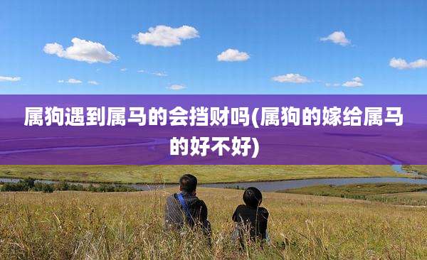 属狗遇到属马的会挡财吗(属狗的嫁给属马的好不好)
