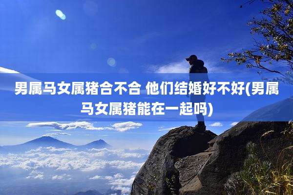 男属马女属猪合不合 他们结婚好不好(男属马女属猪能在一起吗)