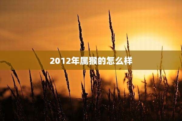 2012年属猴的怎么样