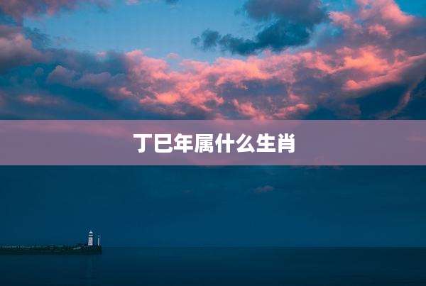 丁巳年属什么生肖