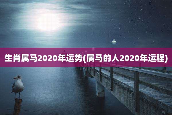 生肖属马2020年运势(属马的人2020年运程)