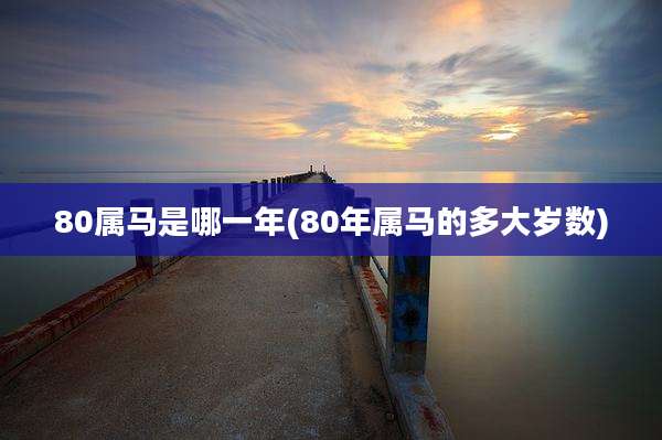 80属马是哪一年(80年属马的多大岁数)
