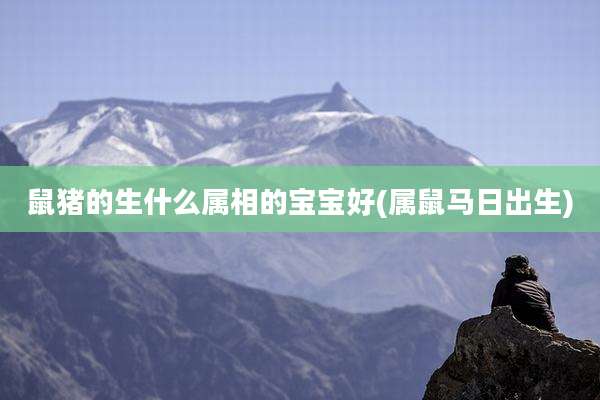 鼠猪的生什么属相的宝宝好(属鼠马日出生)