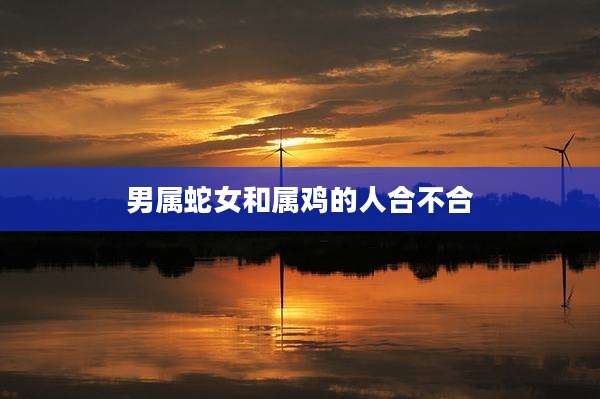 男属蛇女和属鸡的人合不合