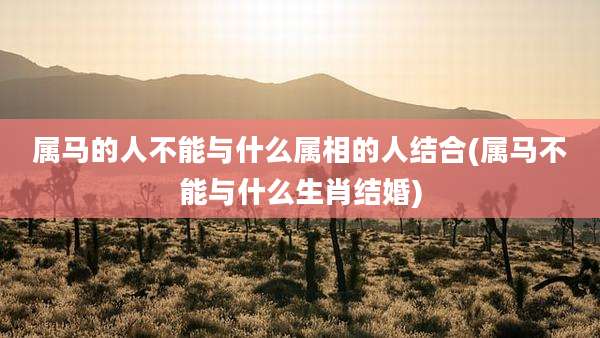 属马的人不能与什么属相的人结合(属马不能与什么生肖结婚)