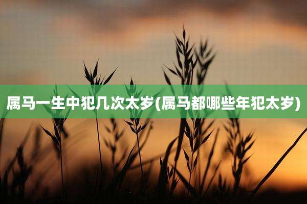 属马一生中犯几次太岁(属马都哪些年犯太岁)