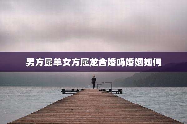 男方属羊女方属龙合婚吗婚姻如何