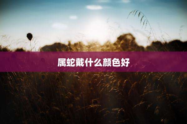 属蛇戴什么颜色好