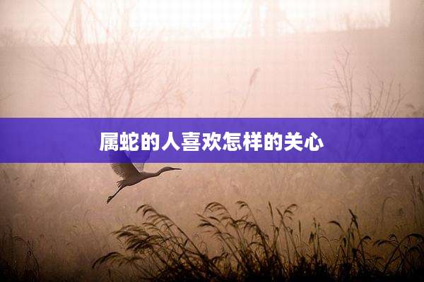 属蛇的人喜欢怎样的关心