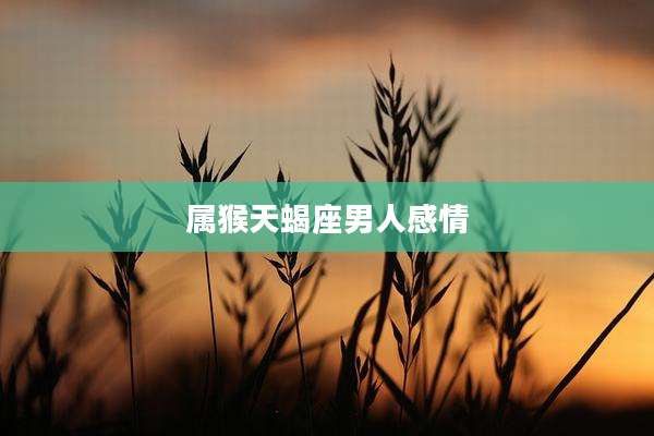 属猴天蝎座男人感情