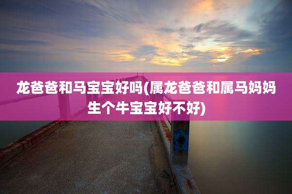 龙爸爸和马宝宝好吗(属龙爸爸和属马妈妈生个牛宝宝好不好)