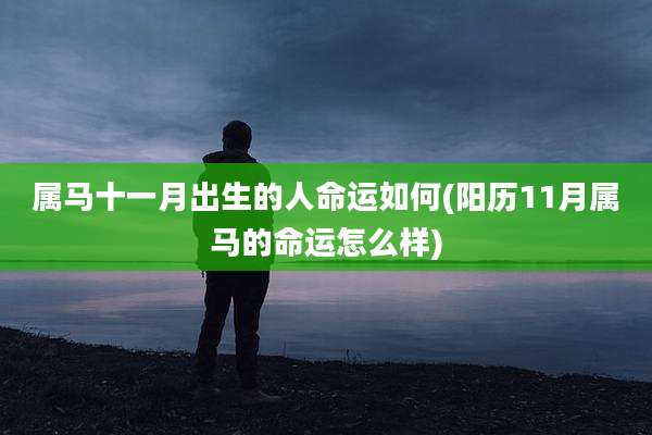属马十一月出生的人命运如何(阳历11月属马的命运怎么样)