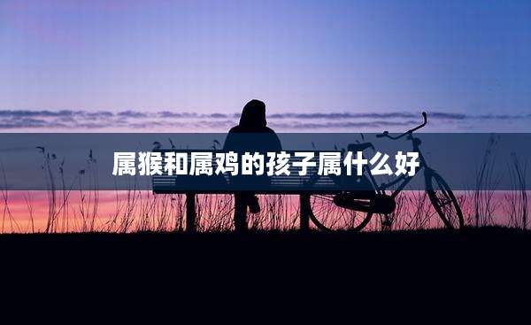 属猴和属鸡的孩子属什么好