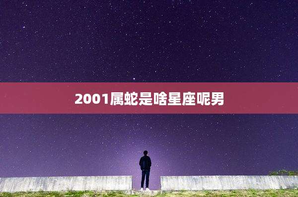 2001属蛇是啥星座呢男