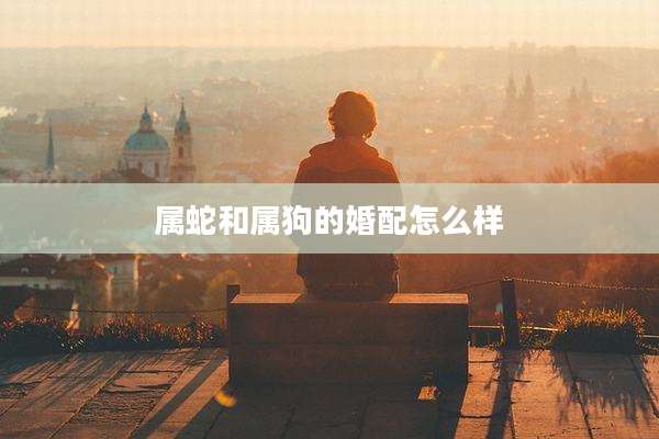 属蛇和属狗的婚配怎么样