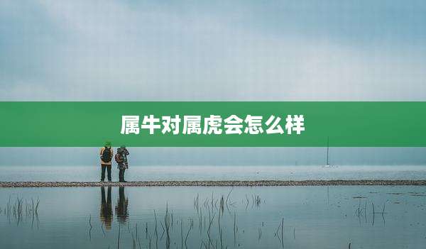属牛对属虎会怎么样