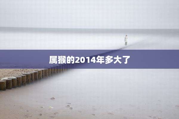 属猴的2014年多大了