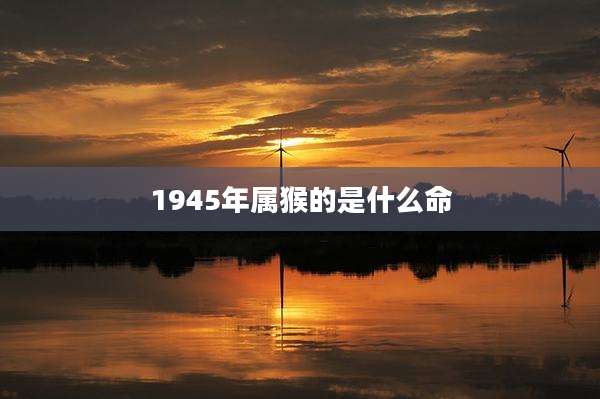 1945年属猴的是什么命