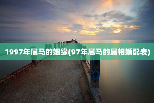 1997年属马的姻缘(97年属马的属相婚配表)
