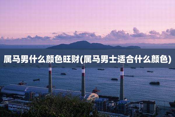 属马男什么颜色旺财(属马男士适合什么颜色)