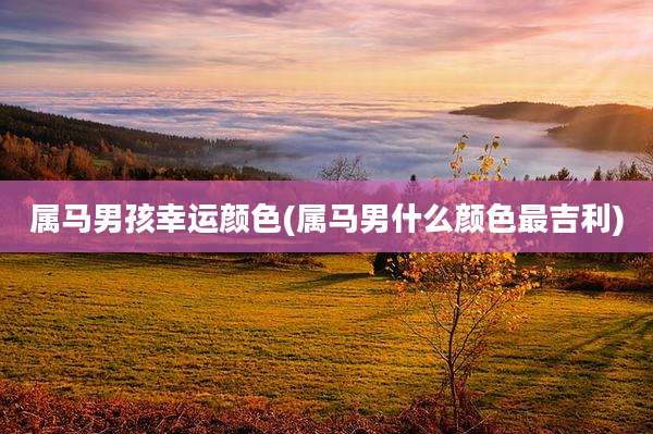 属马男孩幸运颜色(属马男什么颜色最吉利)