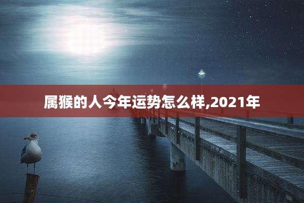 属猴的人今年运势怎么样,2021年