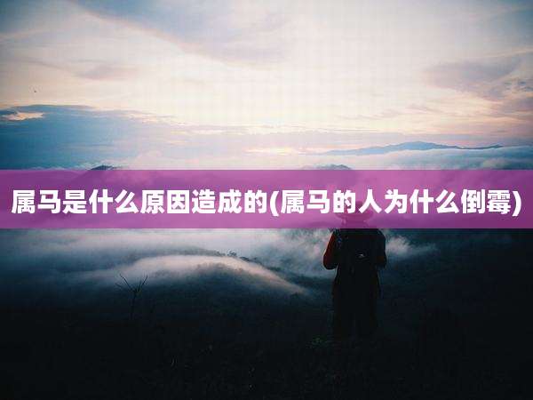 属马是什么原因造成的(属马的人为什么倒霉)