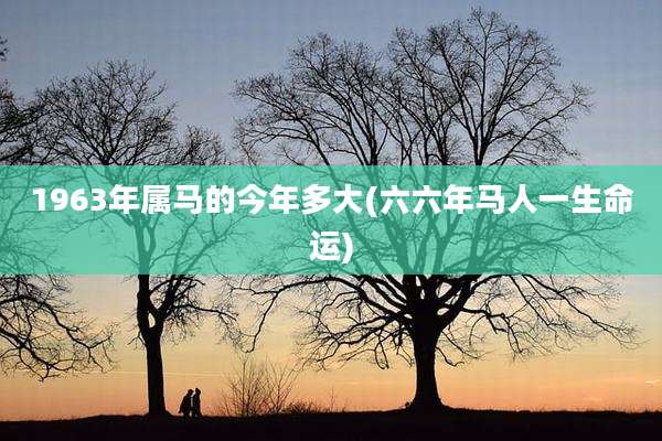 1963年属马的今年多大(六六年马人一生命运)