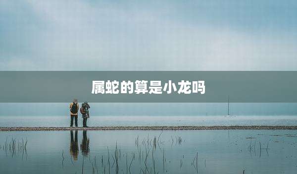 属蛇的算是小龙吗